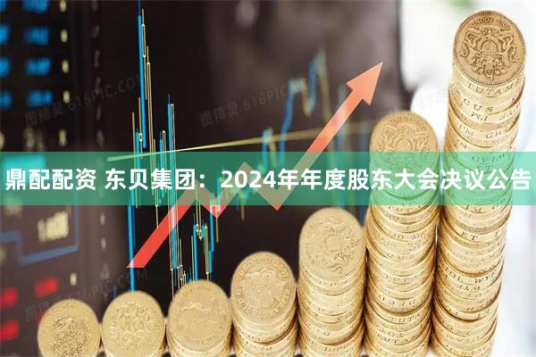 鼎配配资 东贝集团：2024年年度股东大会决议公告